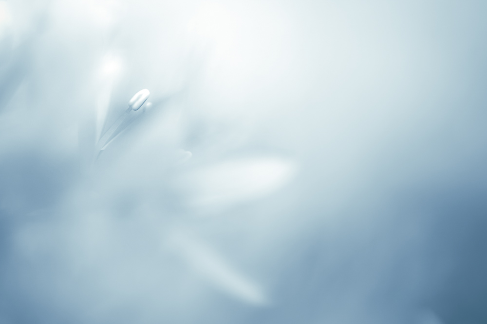 Platz 3 Robert Seitz